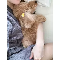 美波 あいか