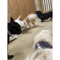 えりか