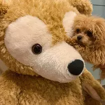 凜