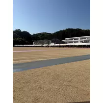 涼ママ