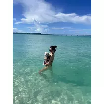 しょう