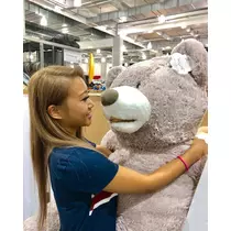 めいさ