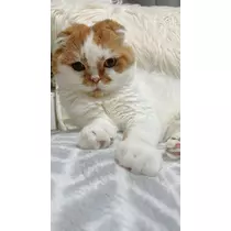 れみ