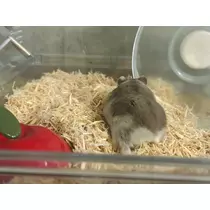 ゆな
