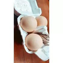 ミノリ
