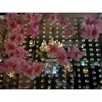 きょう