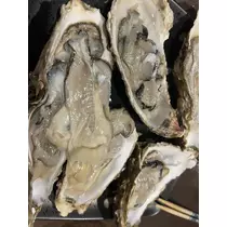 北乃 アリス