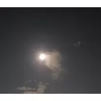 紫音