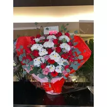 白石 愛莉