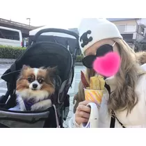 あいら