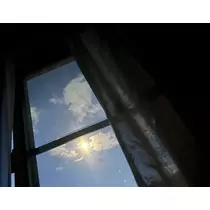 すみれ