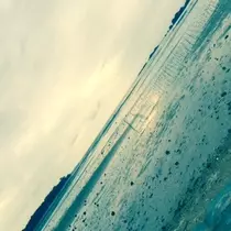 ゆかり
