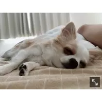 ありさ♡