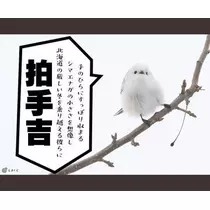 ひな