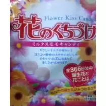 紫音