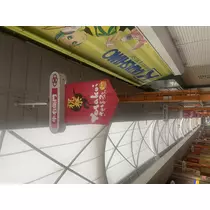 ゆき