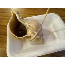 華宮 りりあ