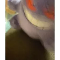 七星 夏純