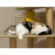みつき