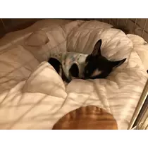 長瀬 純恋