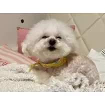 夏樹 あや