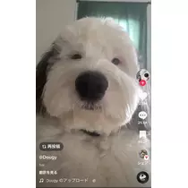 あい
