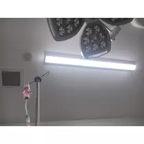 美羽