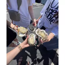 芹奈