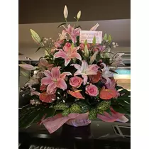 白石 愛莉