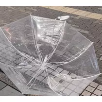 紫音