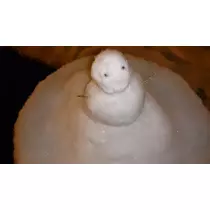 七星 夏純