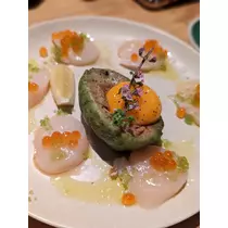 桐谷莉紗 先輩