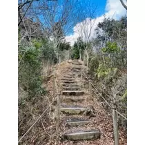 ゆかり