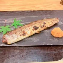 向日葵 ひまり