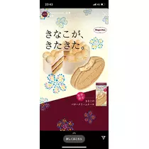 水城 百合