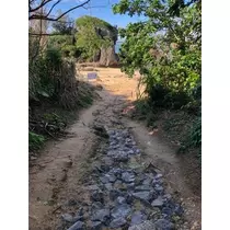 愛羽 仁美