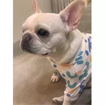 うづき ふうか