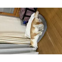沓澤 愛怜那