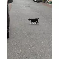 りおん