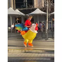 らん