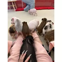 ナナ