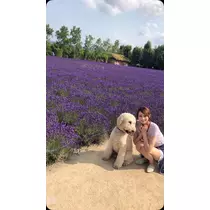 あすか