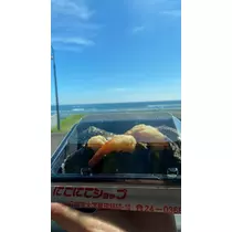 らん