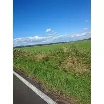 ちよママ
