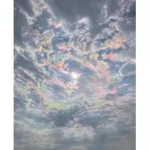 こう