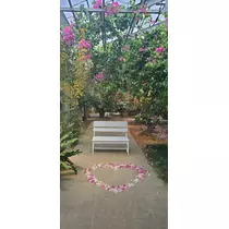 りか