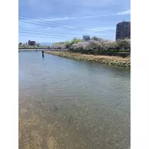 もも