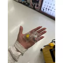 りら