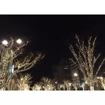 かおり