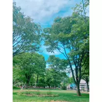 桜乃 咲美
